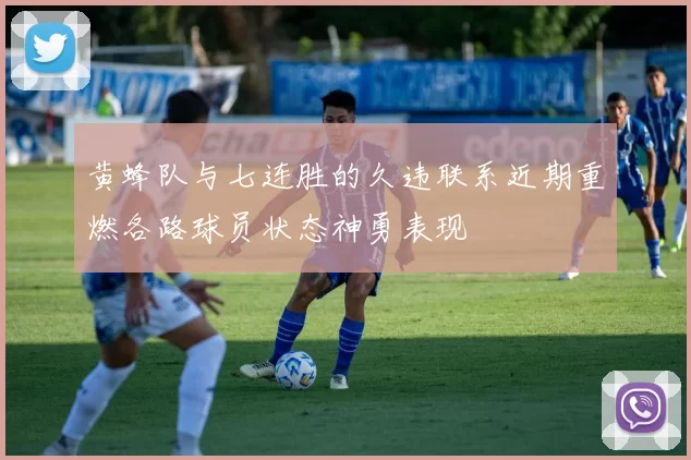 黄蜂队与七连胜的久违联系近期重燃各路球员状态神勇表现