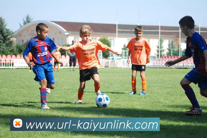 开云体育服务体系