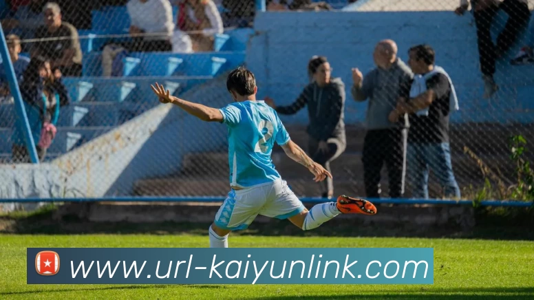 多媒体互动体验