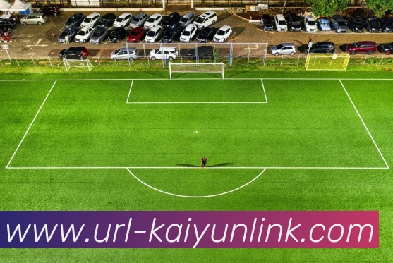 开云体育APP 体育赛事宣传图